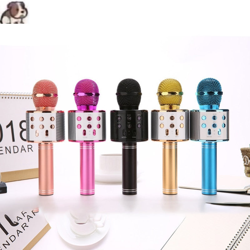 Wireless Karaoke Microphone