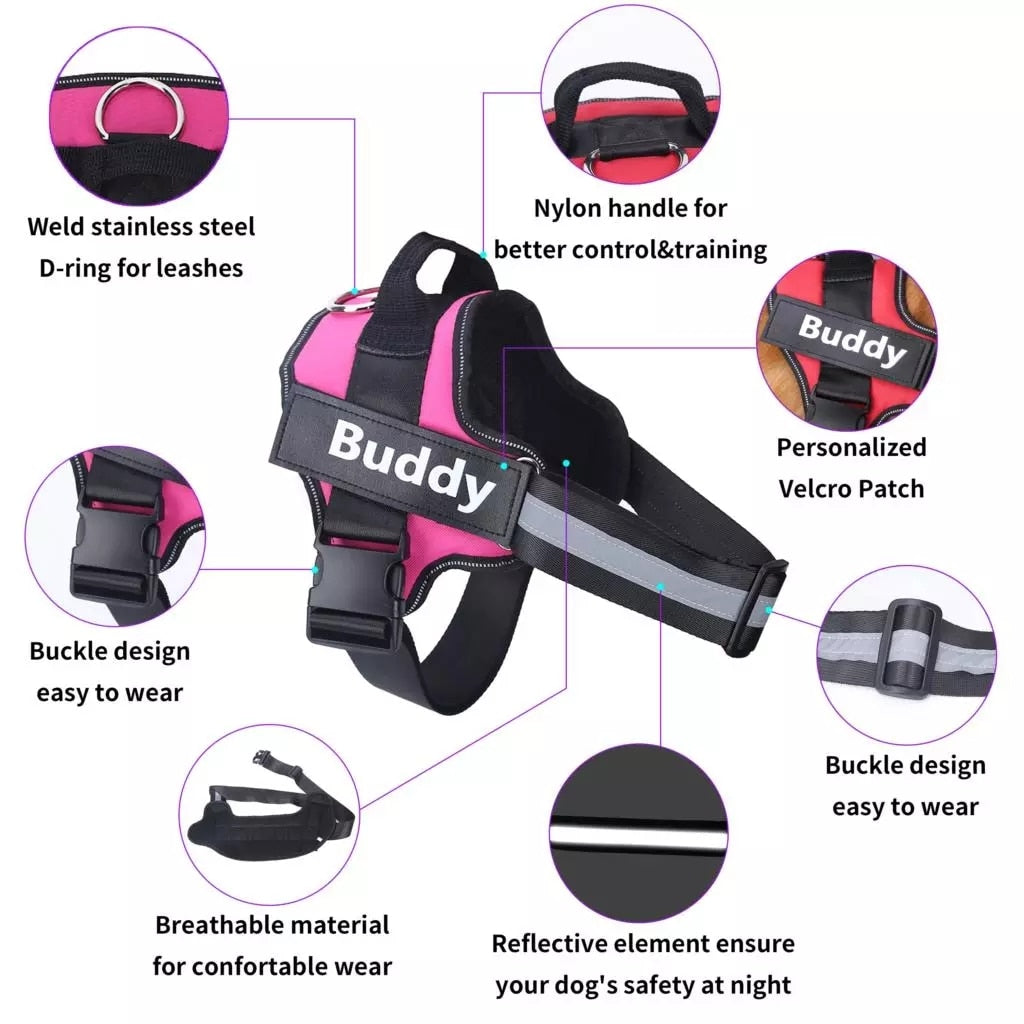 Personalized Reflective Dog Harness