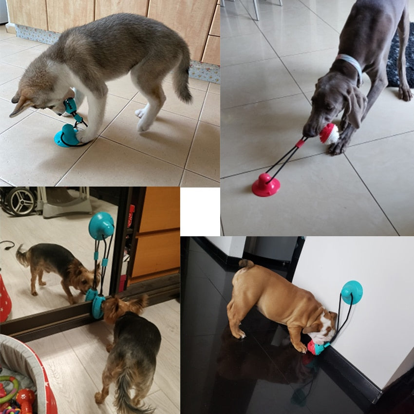 Silicon Ball Suction Cup Dog Toy