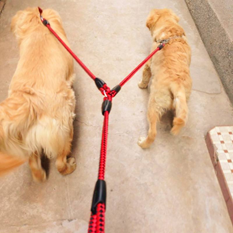 2-Way Braided Nylon Dual Dog Leash