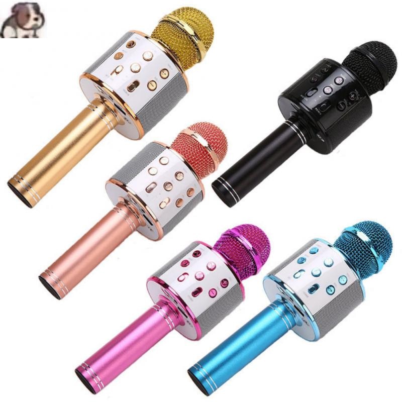 Wireless Karaoke Microphone