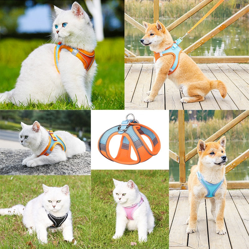 Pet Cat or Dog Adjustable Harness