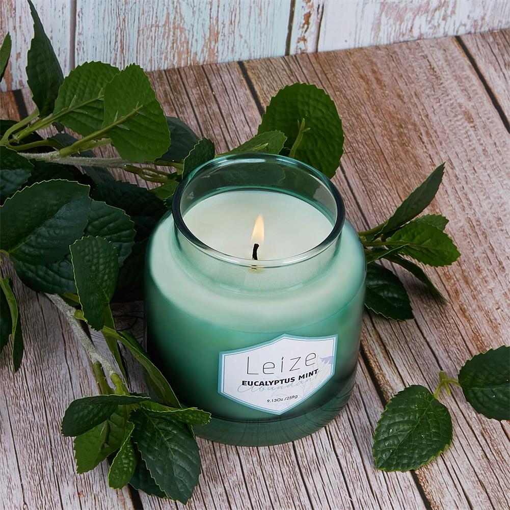 Eucalyptus Mint Scented Soy Candle