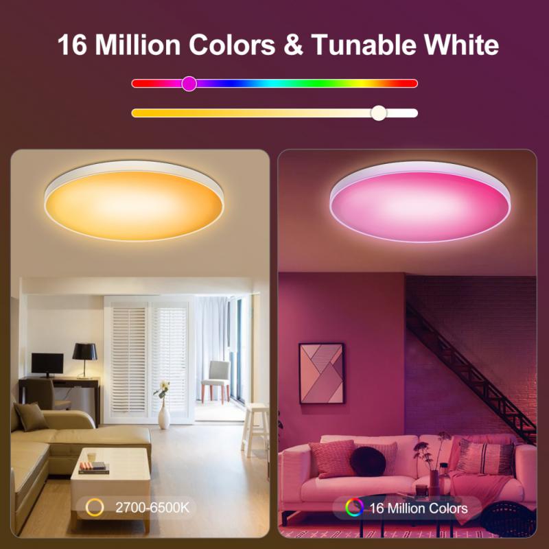 WiFi Smart LED Ceiling Lamp Dimmable Lights