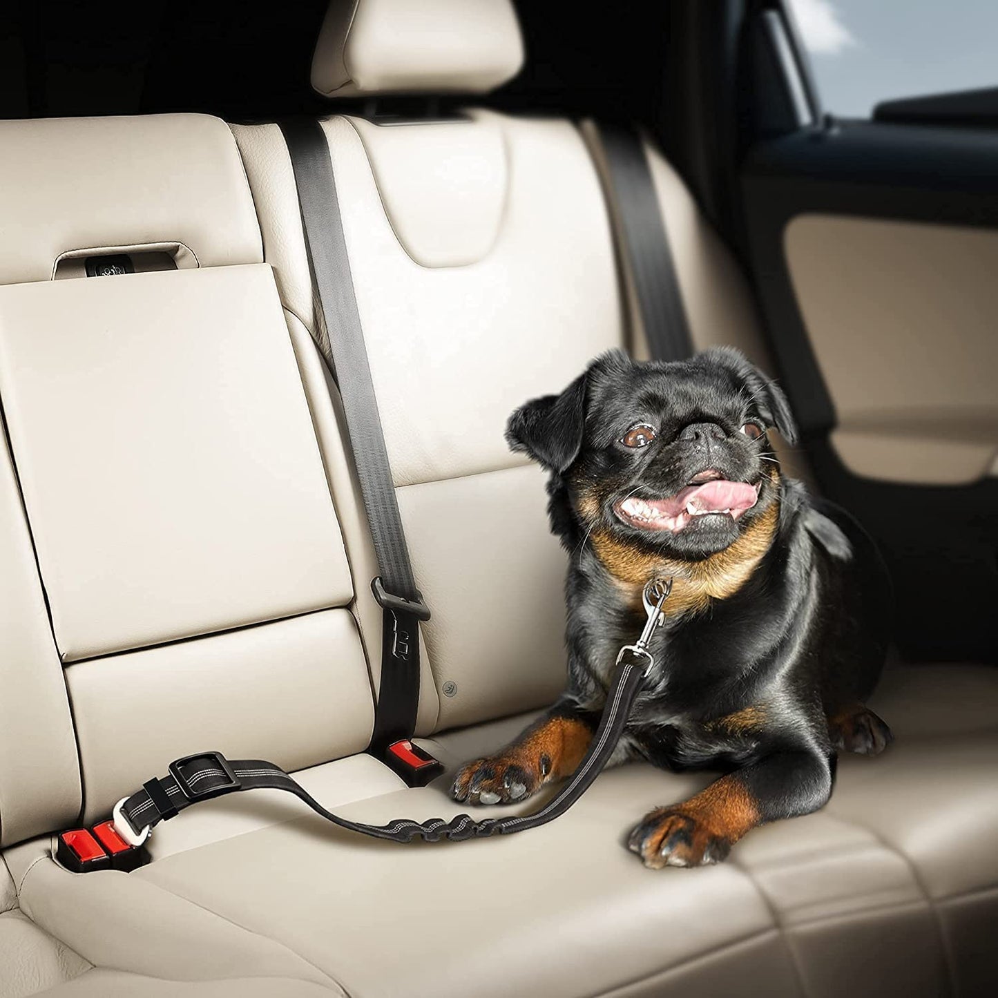 Adjustable Car Seat Belt for Dog