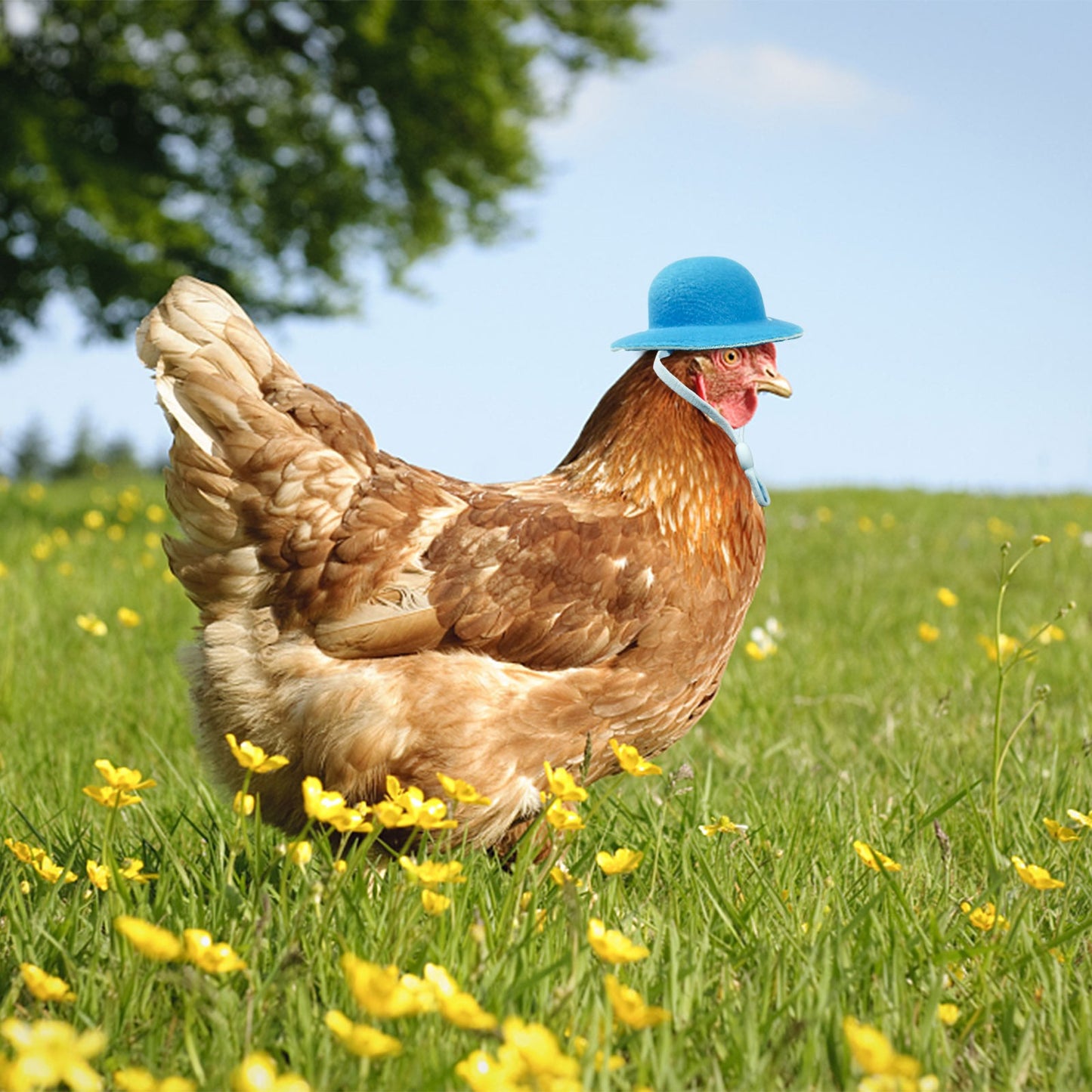 Chicken Hat For Hen or Small Pets