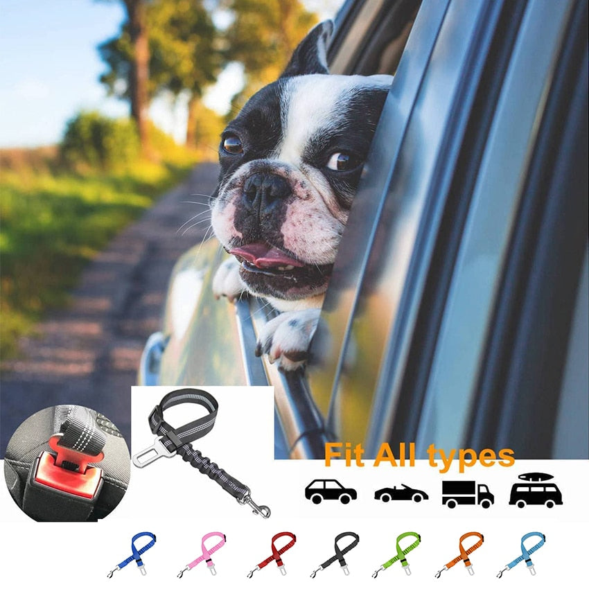 Adjustable Car Seat Belt for Dog