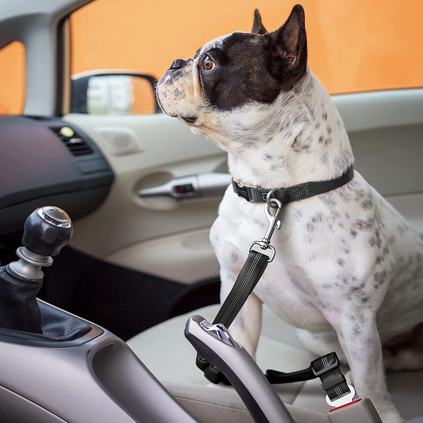 Adjustable Car Seat Belt for Dog