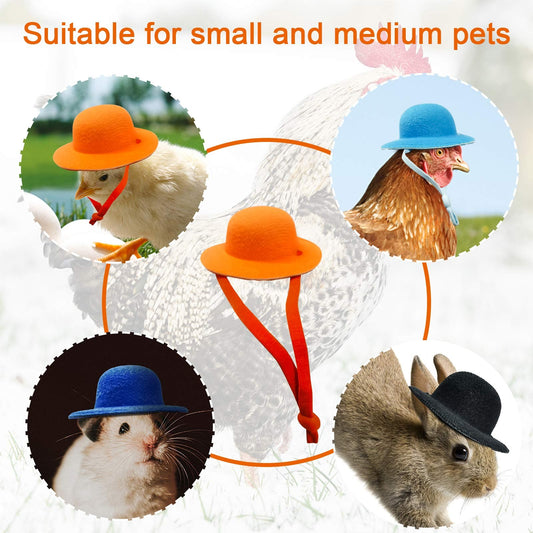 Chicken Hat For Hen or Small Pets