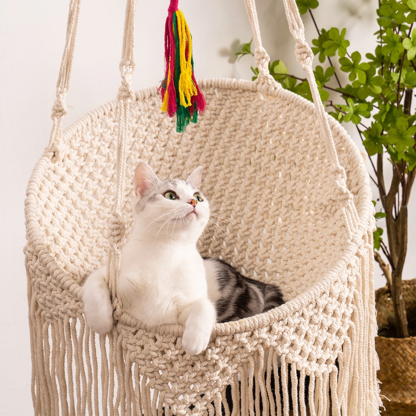 Hanging Hammock Cat Window Perch Bed