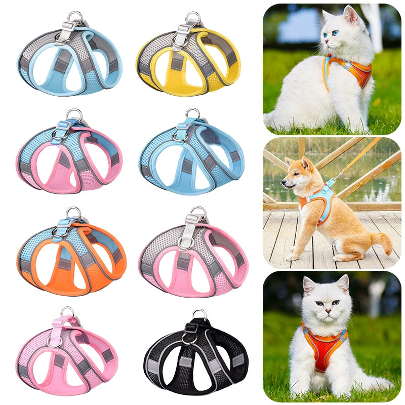 Pet Cat or Dog Adjustable Harness