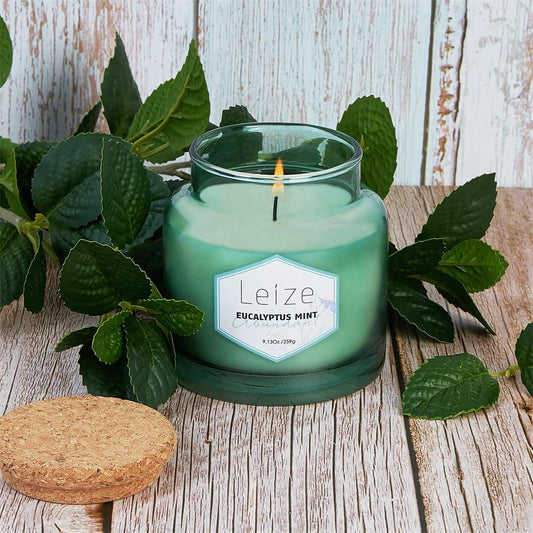 Eucalyptus Mint Scented Soy Candle