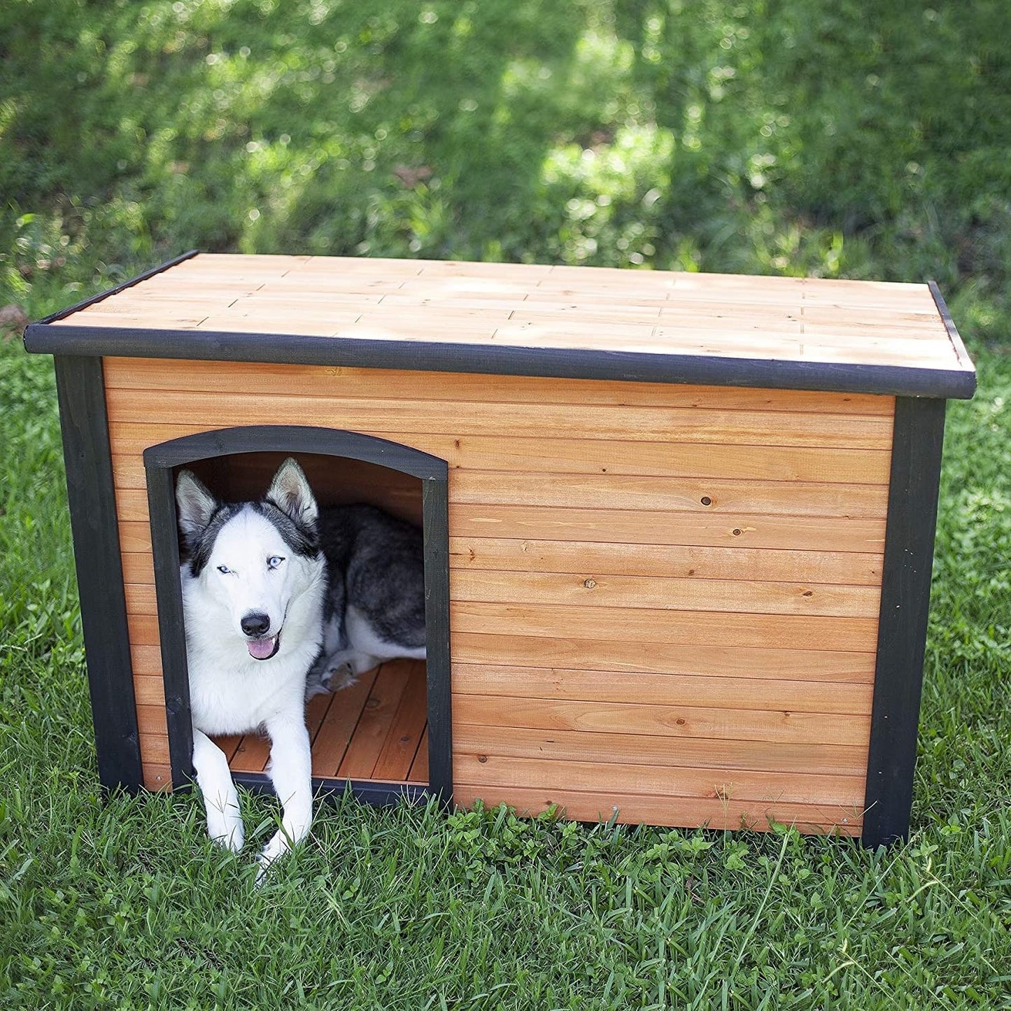 Log Cabin Dog House