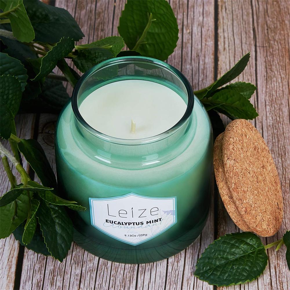 Eucalyptus Mint Scented Soy Candle