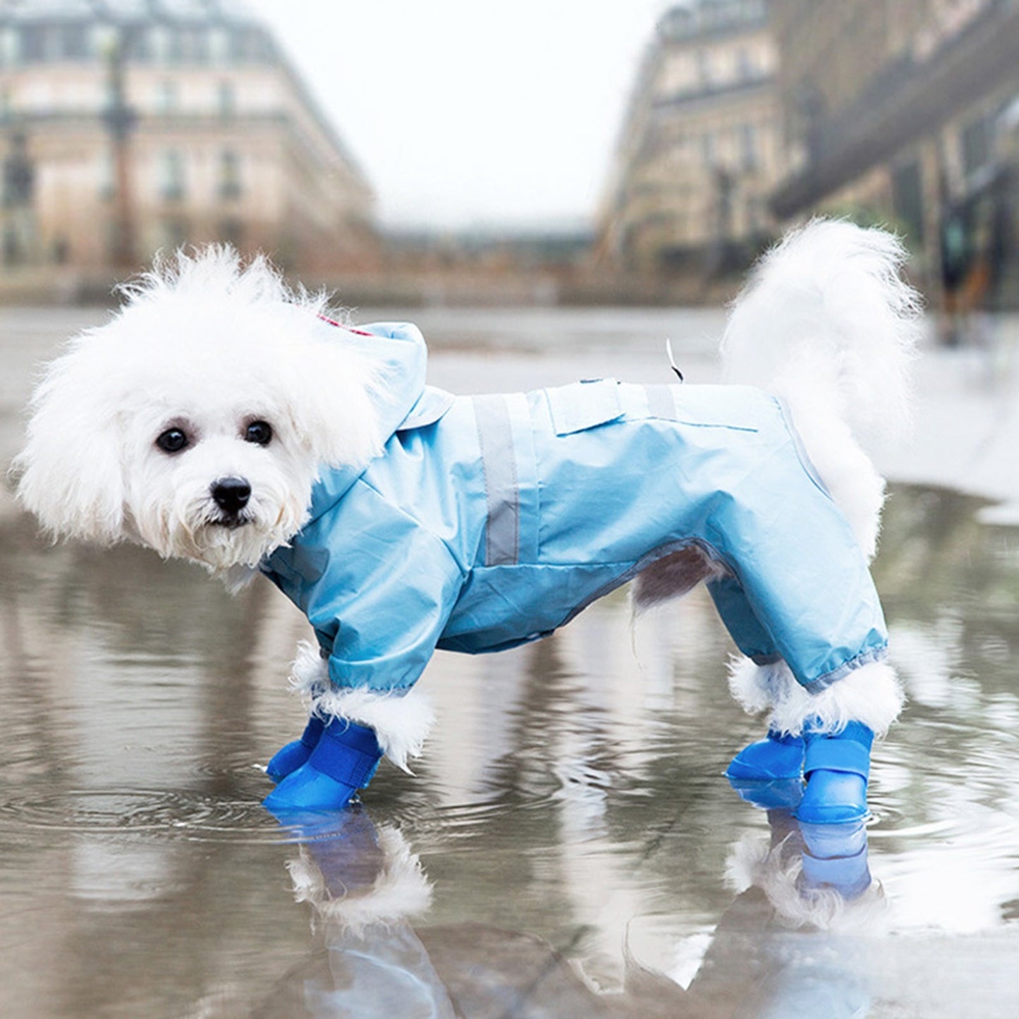 Dog Waterproof Silicone Rain shoes