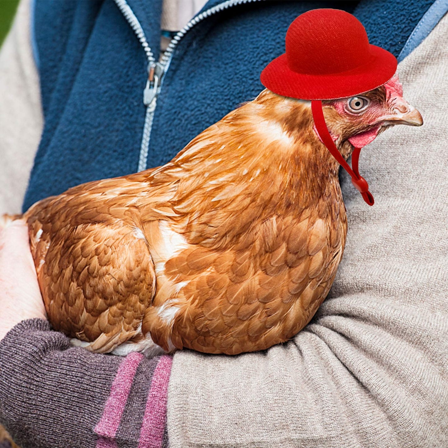 Chicken Hat For Hen or Small Pets