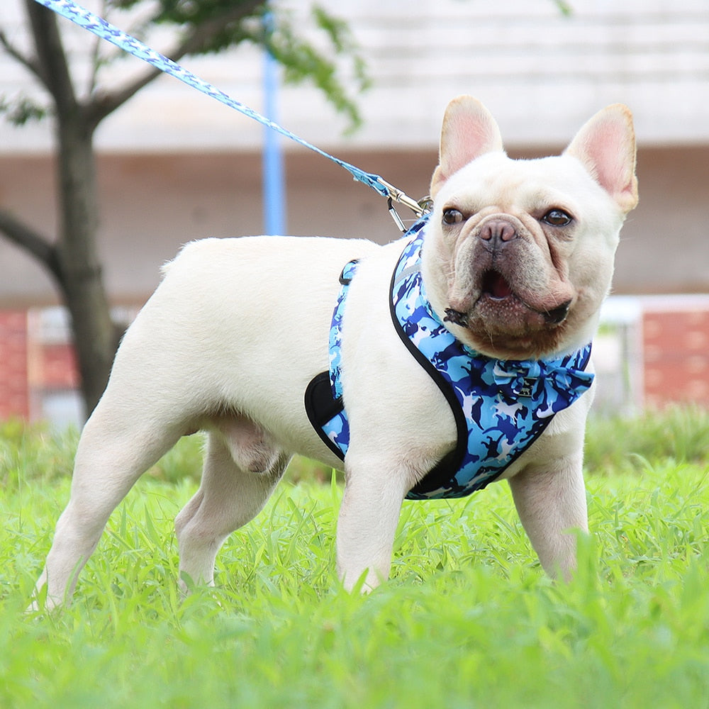 Reflective Dog Pet Harness And Leash Set