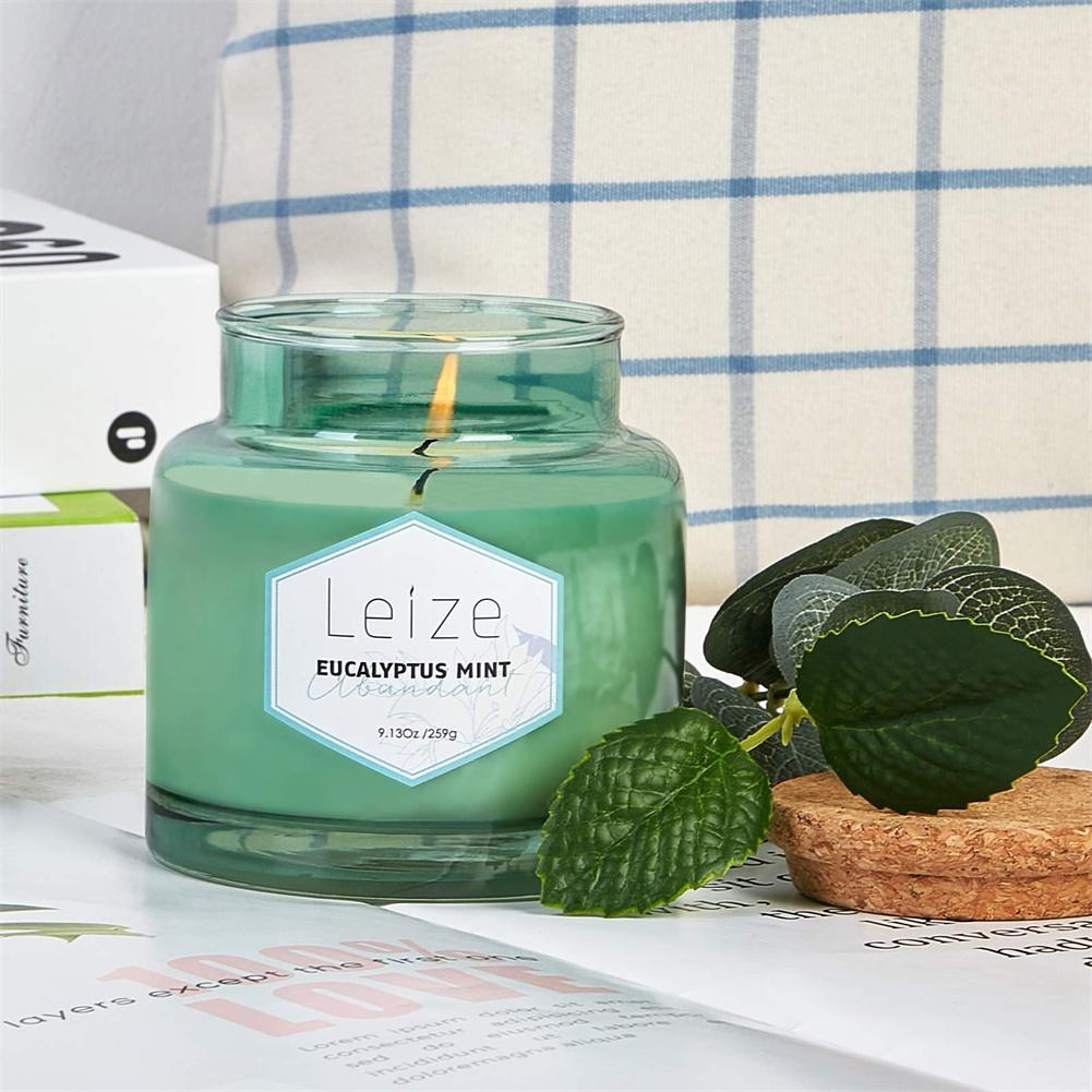 Eucalyptus Mint Scented Soy Candle