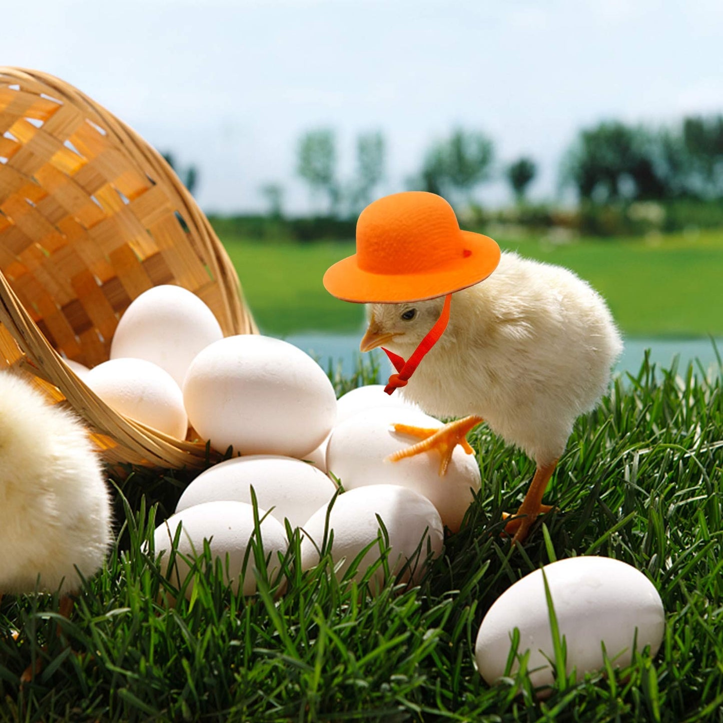 Chicken Hat For Hen or Small Pets